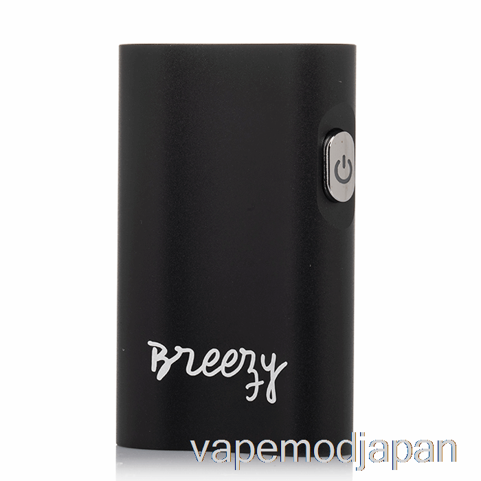 VAPE JAPAN ザ・カインド ペン ブリージー 510 バッテリー ブラック